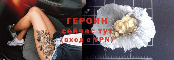 сатива Новодвинск