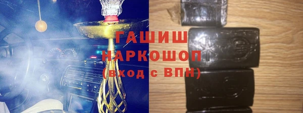 сатива Новодвинск