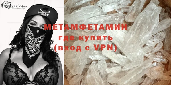 сатива Новодвинск