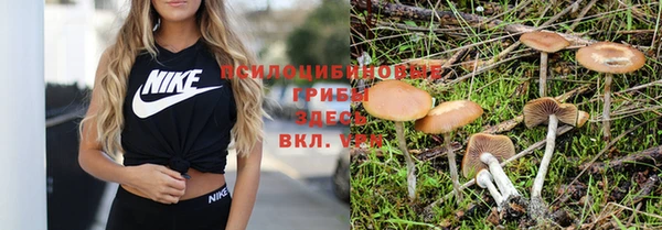 дистиллят марихуана Новокубанск