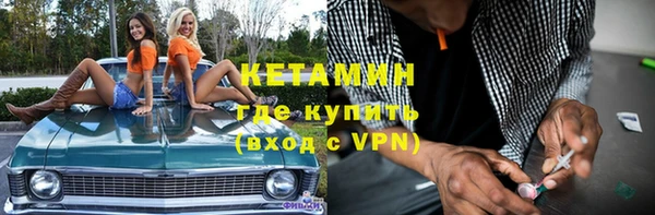 сатива Новодвинск