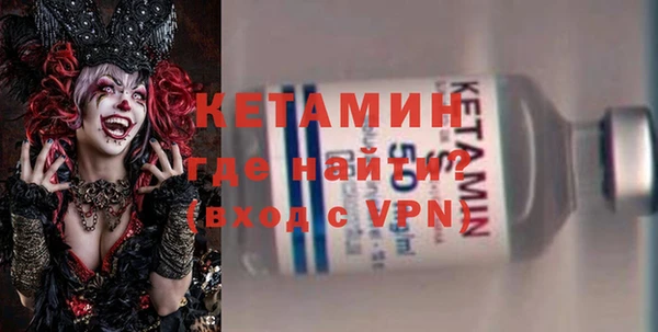 сатива Новодвинск