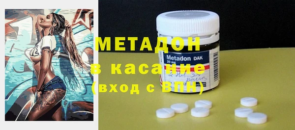 сатива Новодвинск