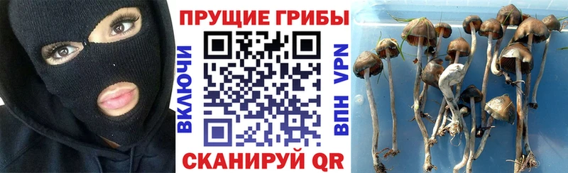 Галлюциногенные грибы MAGIC MUSHROOMS  Кологрив 
